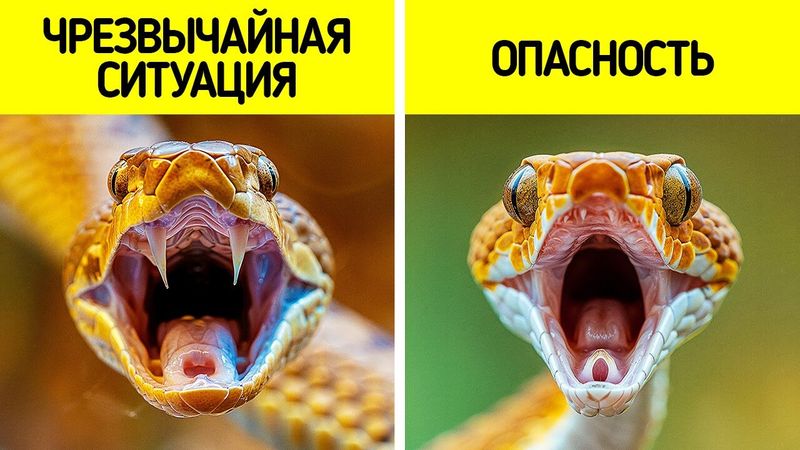 Знание этих правил — ваш шанс выжить в любой экстремальной ситуации