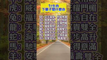12生肖下輩子是什麼命 #生肖  #運勢  #玄學 #風水