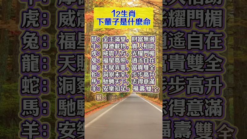 12生肖下輩子是什麼命 #生肖  #運勢  #玄學 #風水