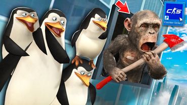 У МАНЬЯКА БЫЛО 0% ШАНСОВ НАЙТИ ЭТУ НЫЧКУ! 4 ТРОЛЛЬ ПИНГВИНА vs ГЛУПЫЙ МАНЬЯК! УГАРНЫЙ МАНЬЯК CS2