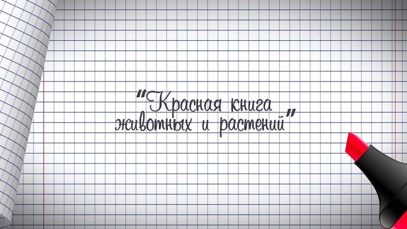 1 класс. Окружающий мир. Красная книга животных и растений