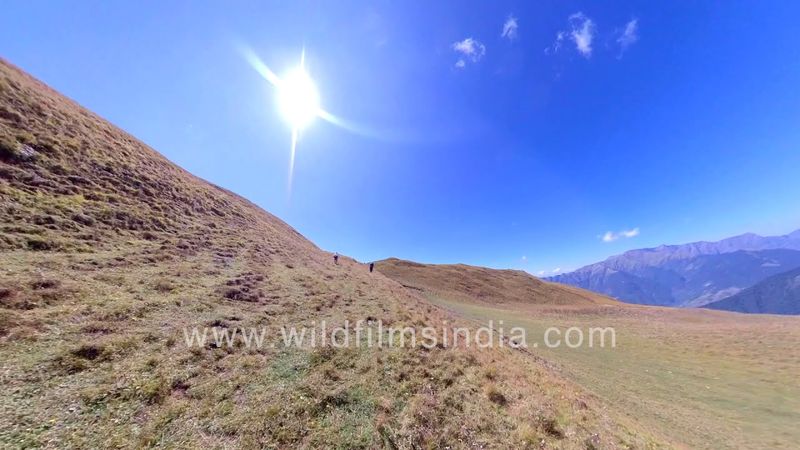 Trekking over Bedni and Ali Buggyal to get to Roopkund Lake of Bones in the Garhwal Himalaya