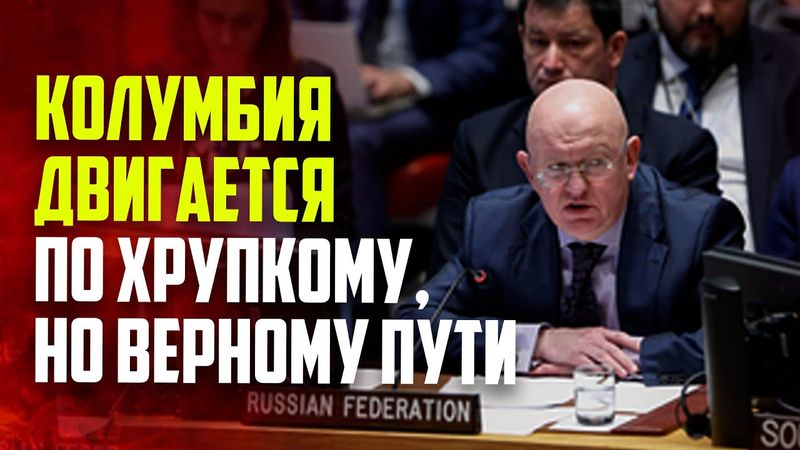 Выступление Василия Небензи на заседании Совета Безопасности ООН по Колумбии