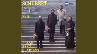 String Quartet No. 15 in G Major, Op. Posth. 161, D. 887: I. Allegro molto moderato