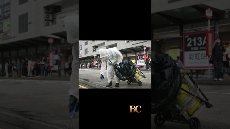 Hong Kong to unleash mosquito-killing robot dogs to combat Chikungunya virus