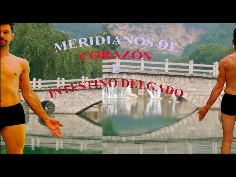 Qi Gong ☯️ CHI KUNG para la SALUD de Estiramiento de los MERIDIANOS, Jing Luo Qi Gong III.