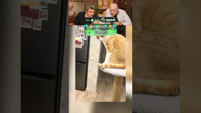 ЭТО ЛУЧШИЙ ПРИКОЛ с котейкой! 😹 😁