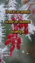 Лёгкого понедельника 😊#сдобрымутром #хорошегонастроения #удачногодня