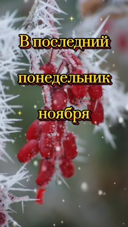 Лёгкого понедельника 😊#сдобрымутром #хорошегонастроения #удачногодня