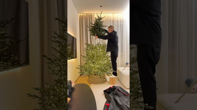 А вы когда планируете убирать ёлку?