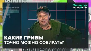 Как ходить в лес по грибы? | Миллион вопросов — Москва 24