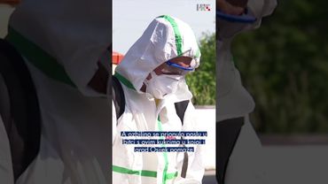 Najezda žohara u Osijeku