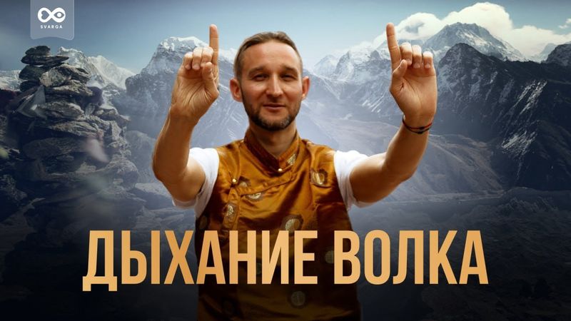 Быстрое наполнение кислородом. Практика про «Дыхание волка»