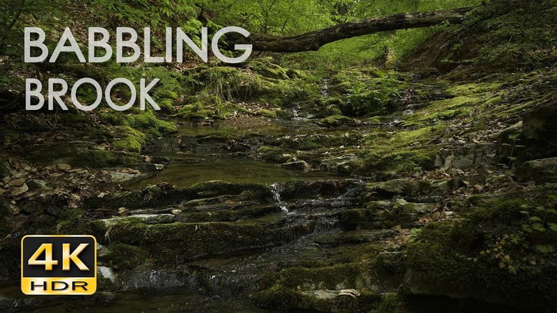 Babbling Brook - Trickling Forest Creek - Water Sounds - Relaxing Nature Video - 4K HDR
