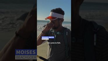 Huge whale carcass washes onto Mexican beach