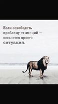 #цитаты #мысли #смотретьдоконца #рекомендации #рекомендации❤️❤️ #хочу...