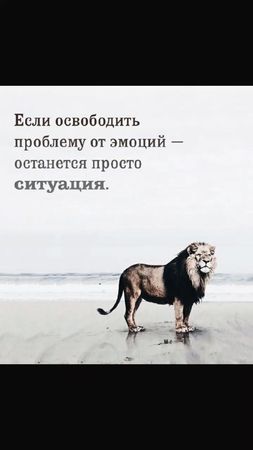 #цитаты #мысли #смотретьдоконца #рекомендации #рекомендации❤️❤️ #хочу...