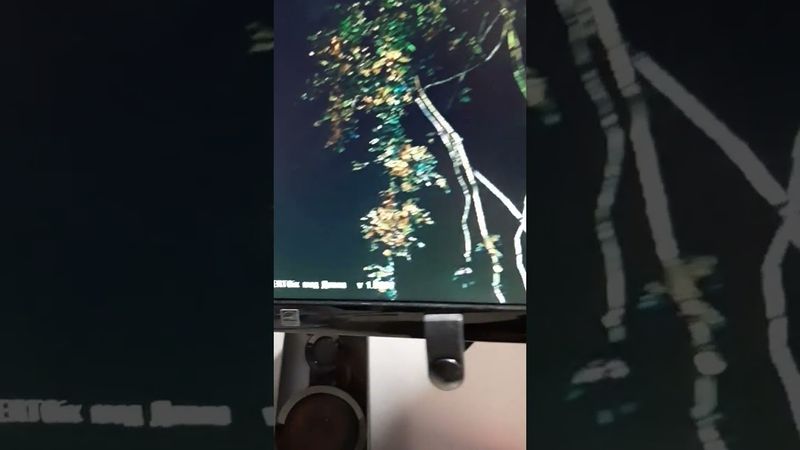 S.T.A.L.K.E.R. Тінь Щедевра