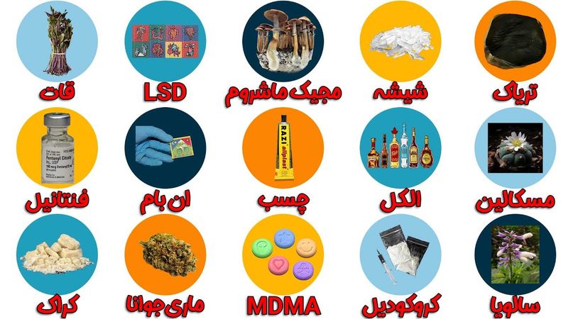 آشنایی با تمامی مواد مخدر در 22 دقیقه