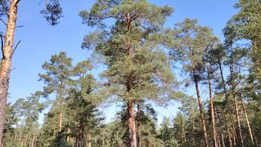 У тебя должно быть свое мнение! Не пропусти свою жизнь!