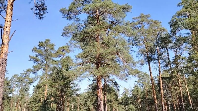 У тебя должно быть свое мнение! Не пропусти свою жизнь!