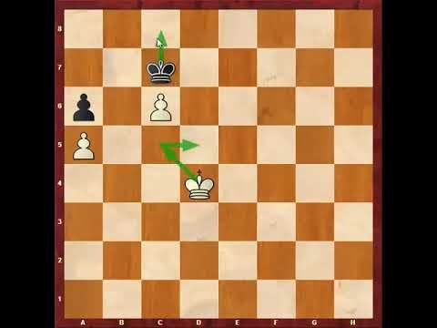 35. آموزش آخربازی شطرنج ( ترم چهارم - قسمت 10)