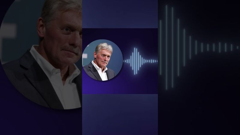 Песков высказался о встрече Зеленского и Путина