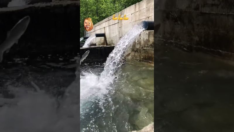 action action and end result