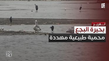 بحيرة البجع في عدن.. محمية طبيعية تحت التهديد