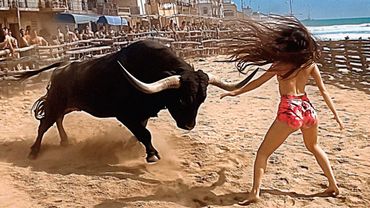 Не Злите Животных! Случаи Когда Животные Впадают в Бешенство