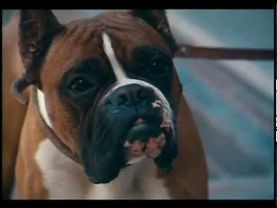 Ералаш №99 "Разговор"