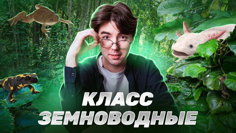 Земноводные | ОГЭ биология 2025 | Умскул