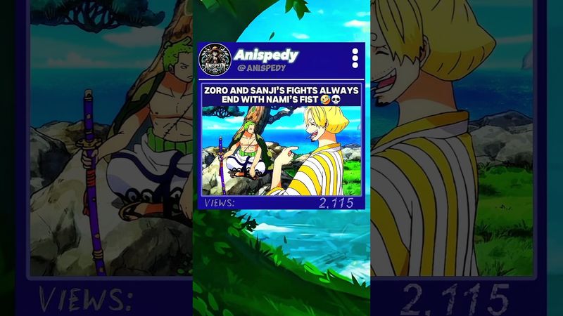 #onepiece #zorosanji #nami #wano