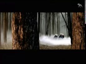 Заставка конца эфира НТВ (2002-2003)