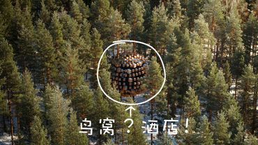 天呢！我们居然住进了鸟窝里！一生一定要尝试一次的瑞典树屋酒店｜Tree Hotel in Sweden｜4KHDR