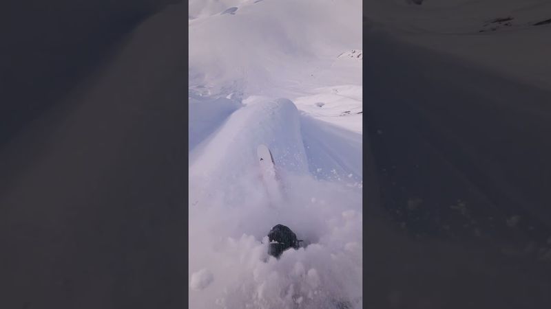 Spine slayer ⚔️  #skiing