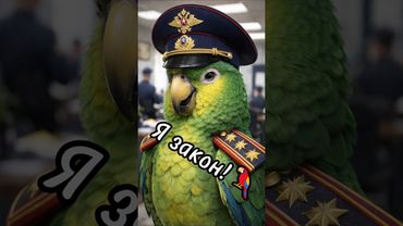 Попугай рассмешил всех в полицейском участке 😂