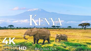 Kenya 4K • African Savannah Relaxation Film with Deep Peaceful Music