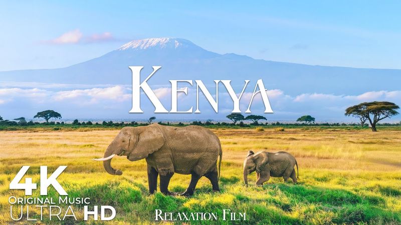 Kenya 4K • African Savannah Relaxation Film with Deep Peaceful Music