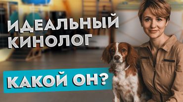 🏆 7 ШАГОВ к выбору ГУМАННОГО и СОВРЕМЕННОГО КИНОЛОГА! Воспитанная собака без страха и насилия!