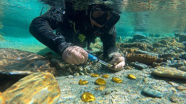 Это больше не миф — дешевый металл превратили в золото