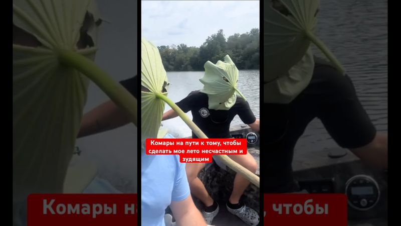 Комары на пути к тому, чтобы сделать мое лето несчастным и зудящим