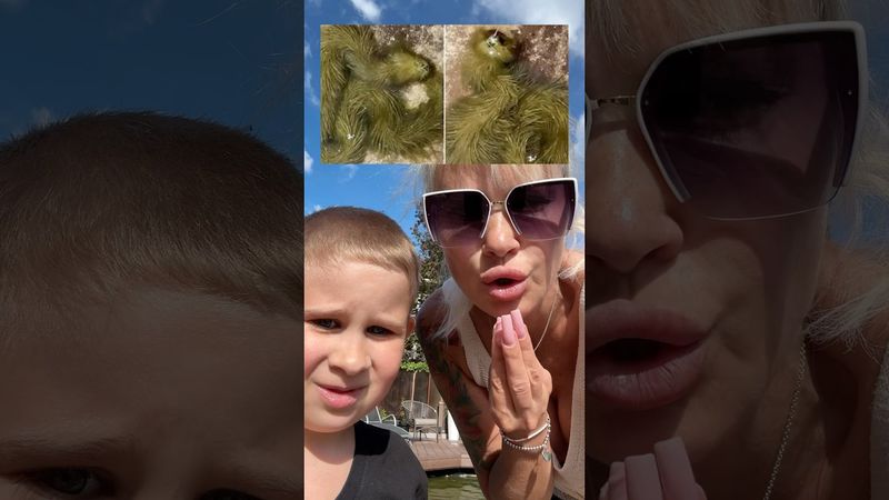 кто это был в пруду 😫😫🪑#стрим#стандофф2#юмор#игры#рек#рекомендации#roblox#reels#а4