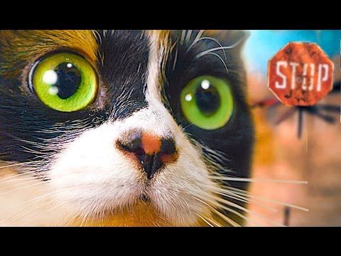 SlivkiShow в ЧЕРНОБЫЛЕ!