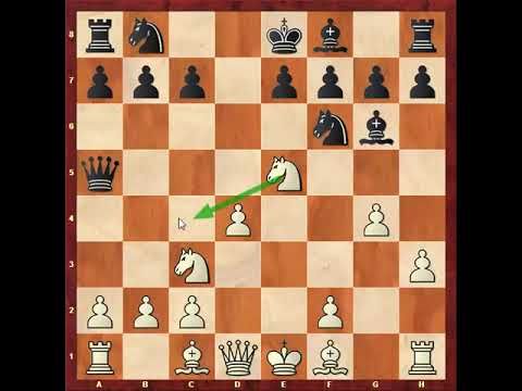 199 . شروع بازی ضد اسکاندیناوی برای سفید - ترم 11 ( قسمت 3 )