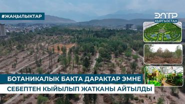 БОТАНИКАЛЫК БАКТА РЕКОНСТРУКЦИЯ ИШТЕРИ ЖҮРҮҮДӨ