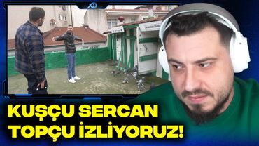 TESTO TAYLAN KUŞÇU SERCAN TOPÇU İZLİYORUZ!