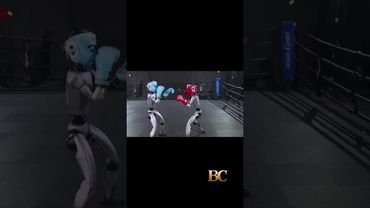Humanoid robots fight in Chinese kick-boxing competition