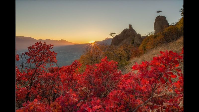 Всем привет из Крыма!