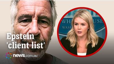 Karoline Leavitt grilled on Epstein 'client list'